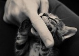 An Open Letter to Every Woman I’ve Fingered