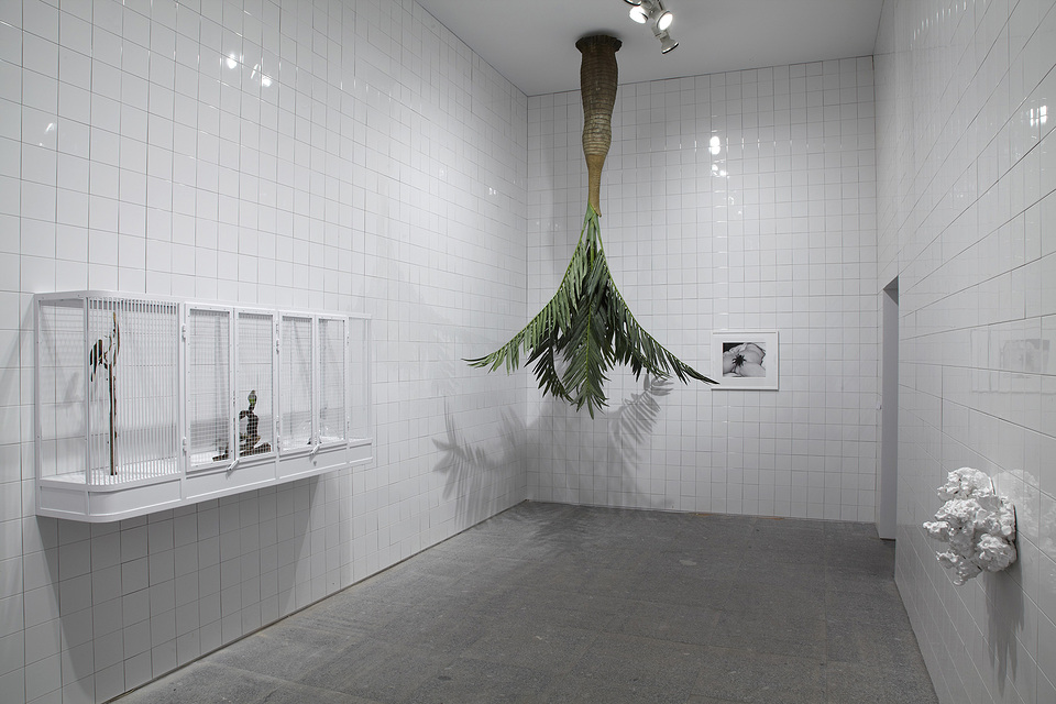 With “Question the Wall Itself,” the Walker Art Center Examines Image and Context in a Fragmenting World